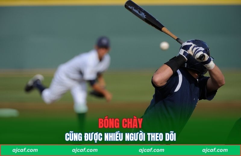 Bóng chày cũng được nhiều người theo dõi