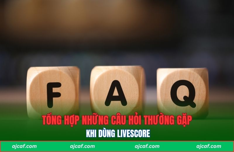 Các câu hỏi thường thắc mắc khi dùng công cụ tra cứu