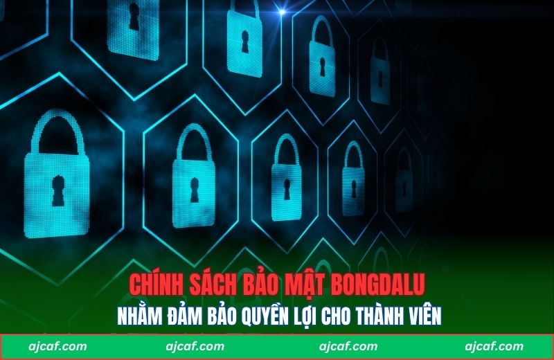 Chính sách bảo mật Bongdalu nhằm đảm bảo quyền lợi cho thành viên