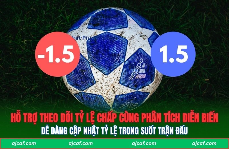 Hỗ trợ theo dõi tỷ lệ chấp cùng phân tích diễn biến