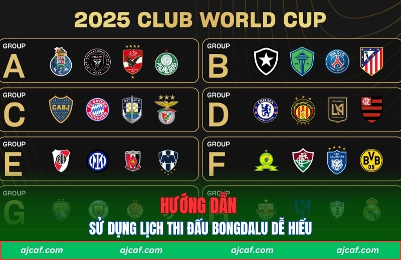 Hướng dẫn sử dụng lịch thi đấu Bongdalu dễ hiểu