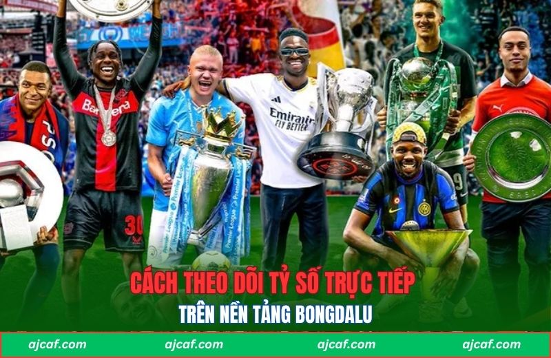 Cách thức thực hiện theo dõi tỷ số trên Livescore Bongdalu