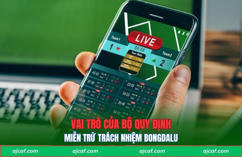 Vai trò của bộ quy định miễn trừ trách nhiệm Bongdalu